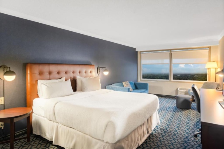 King Bed room with city view