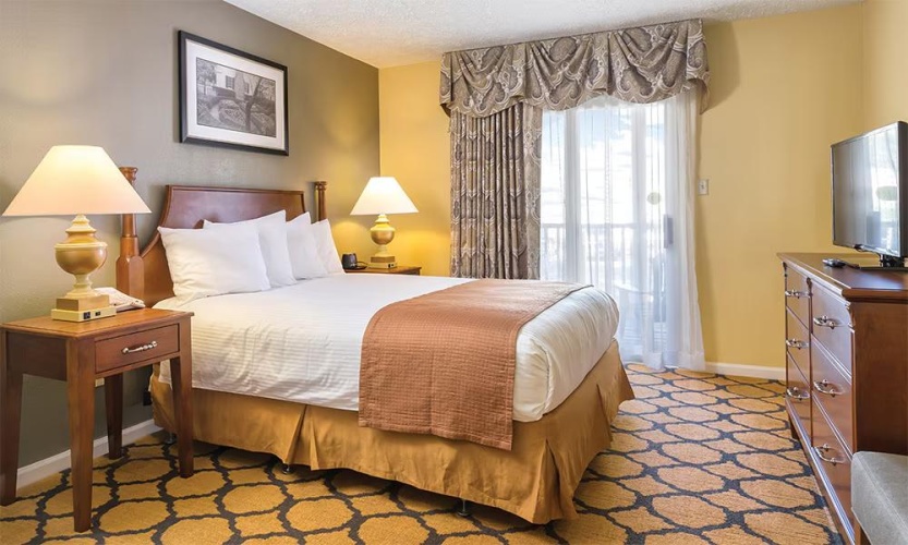 1 Bedroom Suite