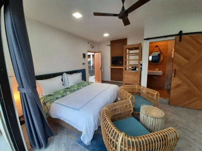Palms retreat