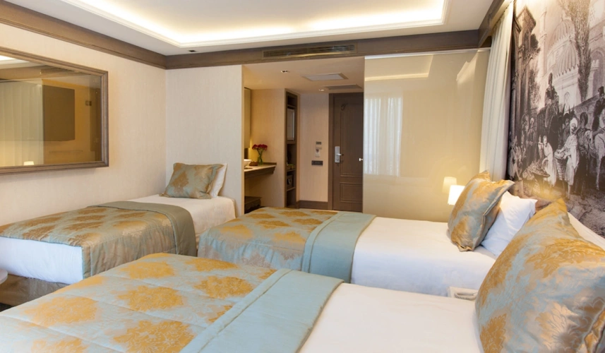 Standard Triple room