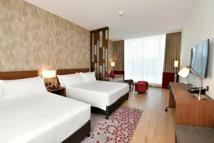 Deluxe Twin Suite