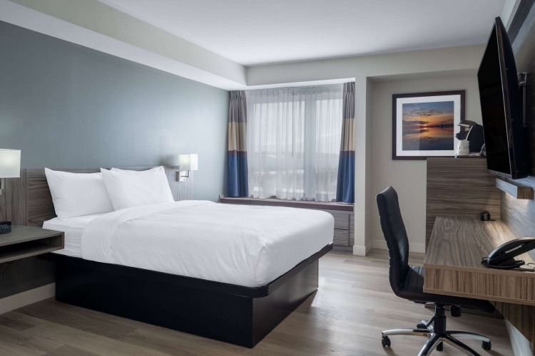 Double Mobility Accessible room