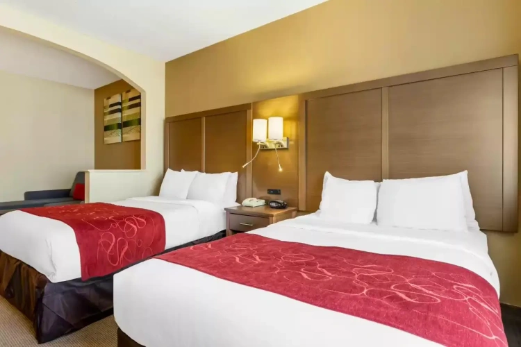 1 Bedroom Hearing Accessible Twin Suite