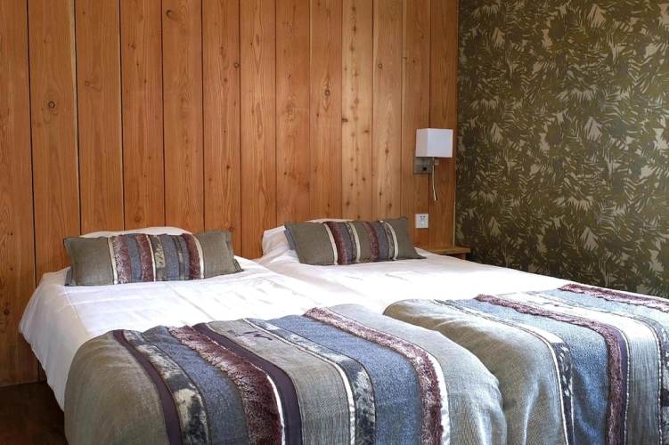 Forest Twin room