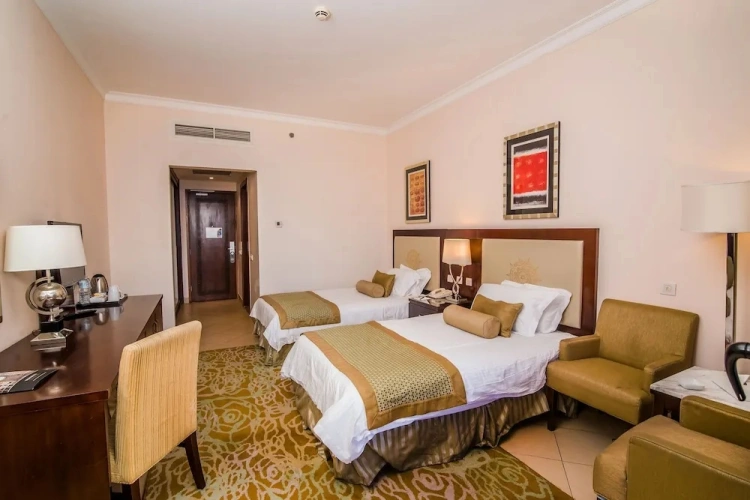 Deluxe Twin room with city view