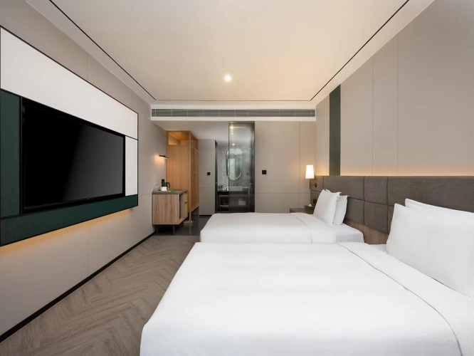Premium Twin room with city view