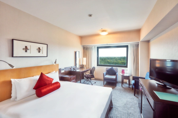 Standard Double room with airport view