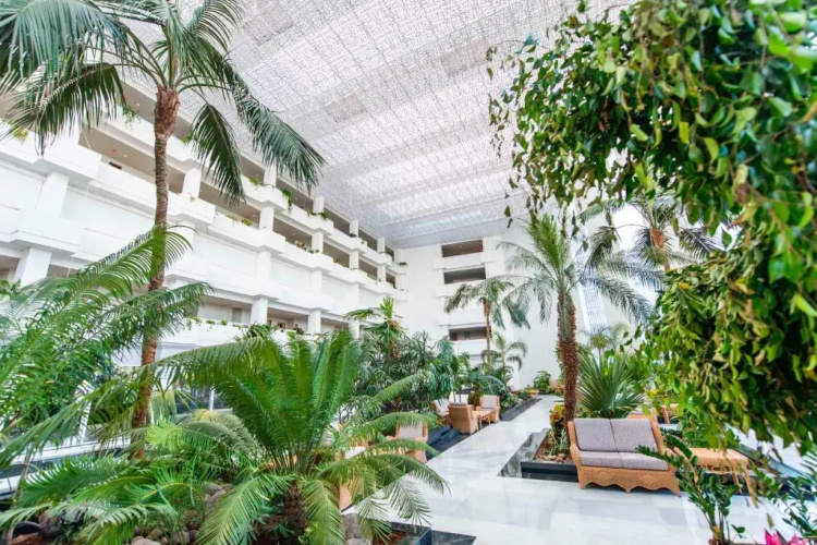 Spring Hotel Vulcano photo 29