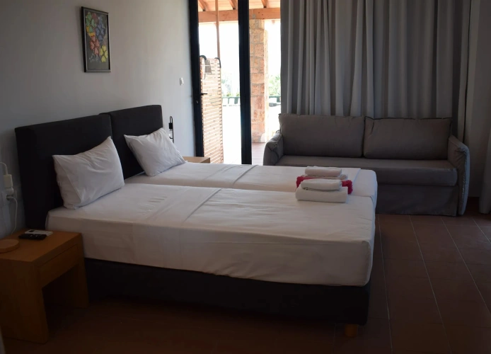 Economy Twin room with pool view
