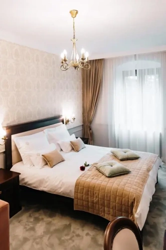 Superior Double room with park view