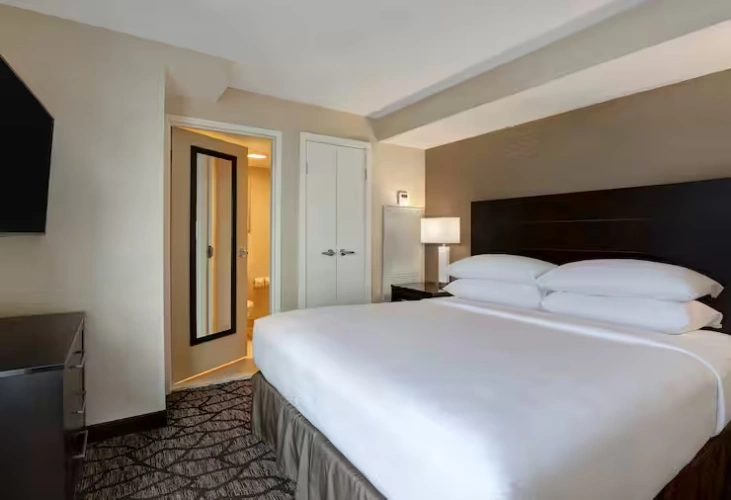 Double Studio Suite with city view
