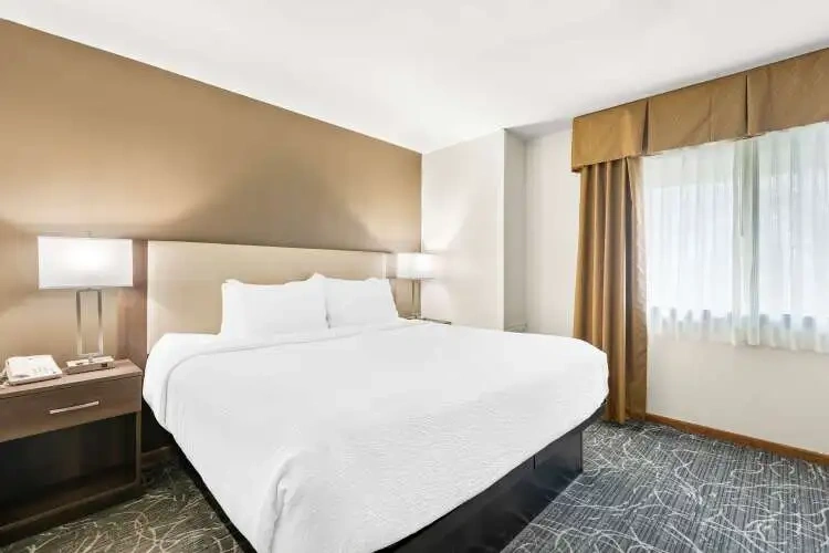 Kitchenette Double Suite