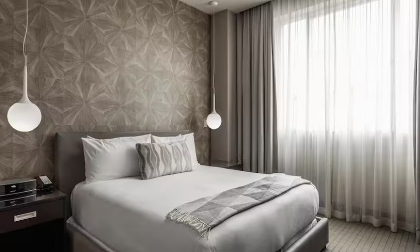 Contemporary Double Suite