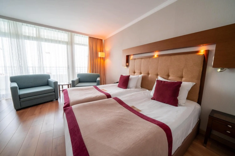 Executive Twin room with land view