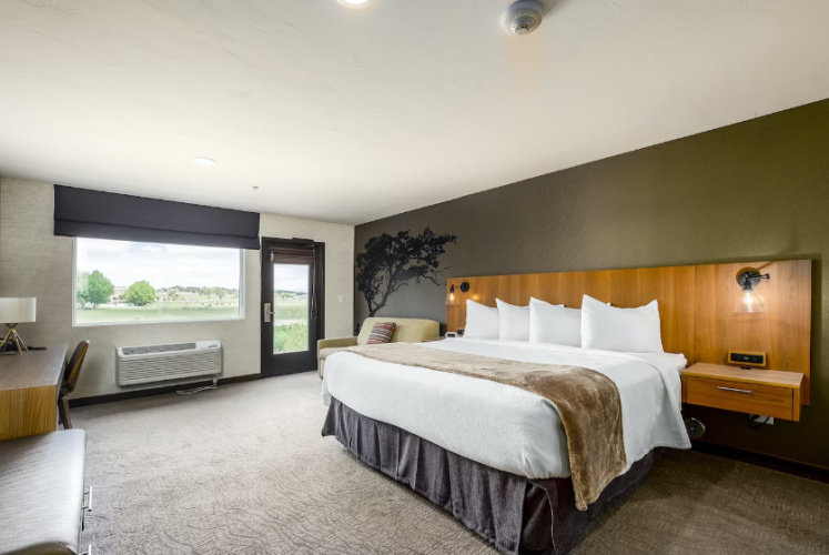 Cathedral Double Suite