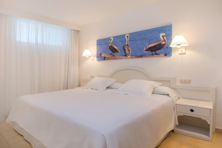 Superior Double Apartment with garden view