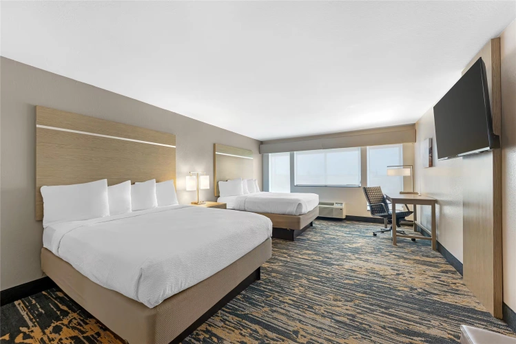 Twin Suite