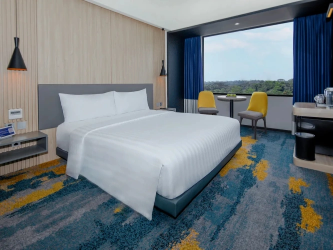 Deluxe Double room