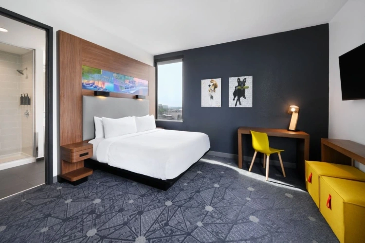 Double Suite