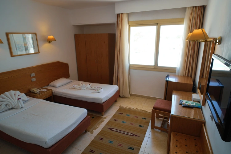 Standard Twin room with garden view