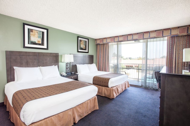 1 Bedroom Twin Suite
