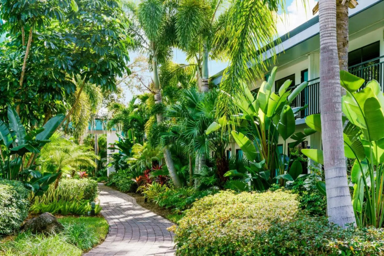 CoCo Key Hotel & Water Resort photo 27