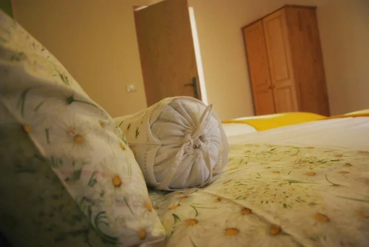 Margarita Del Teide Twin room