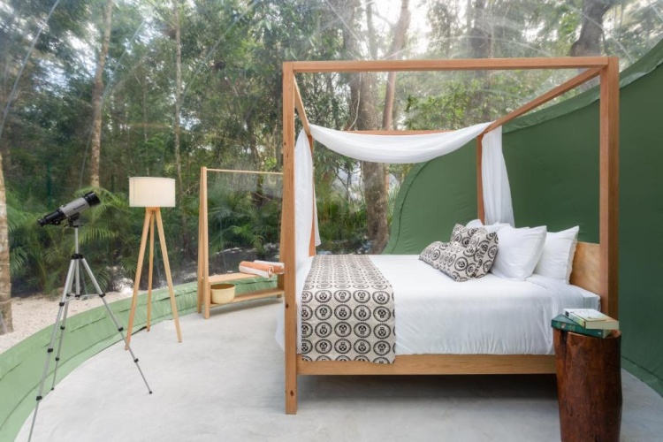 Double Bubble Suite with Jungle view