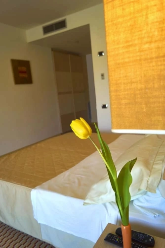 Superior Plus Double room