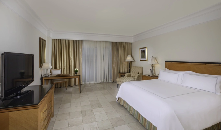 Adult Double Junior Suite