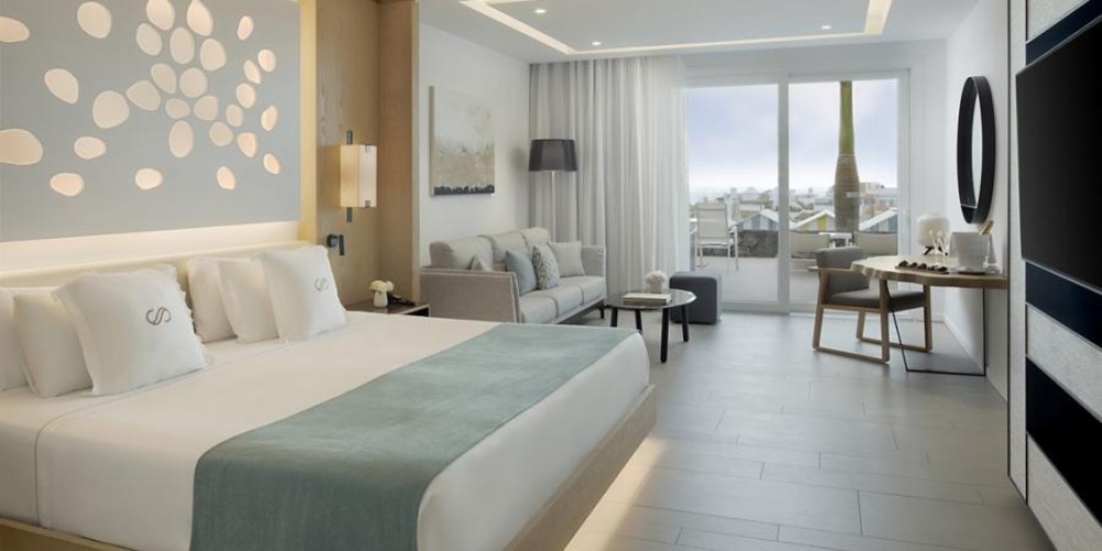 Single Junior Suite