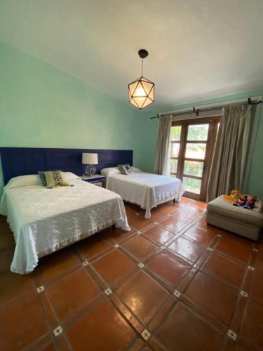 Executive Quadruple Suite