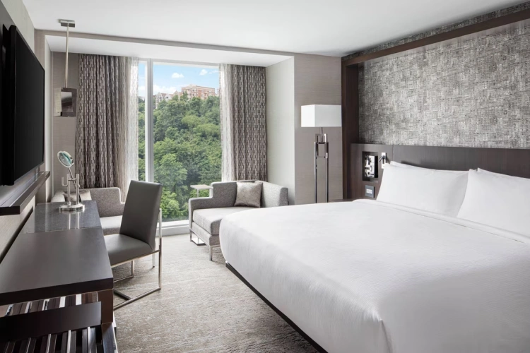 Deluxe Palisades View room