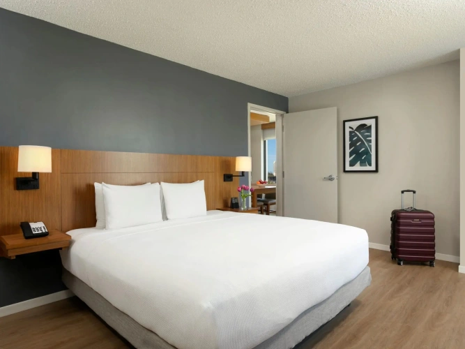 1 Bedroom Double Suite