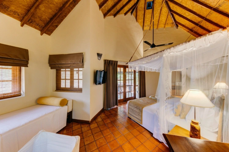 Jungle Double Chalet