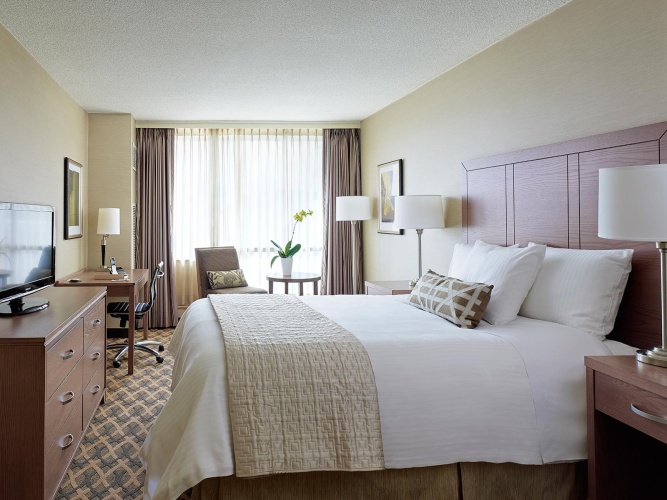 1 Bedroom Double Suite