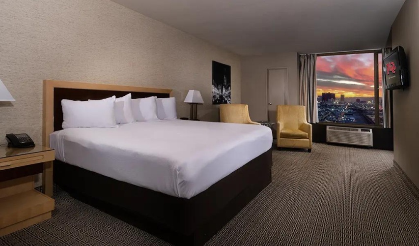 Mini Double Suite
