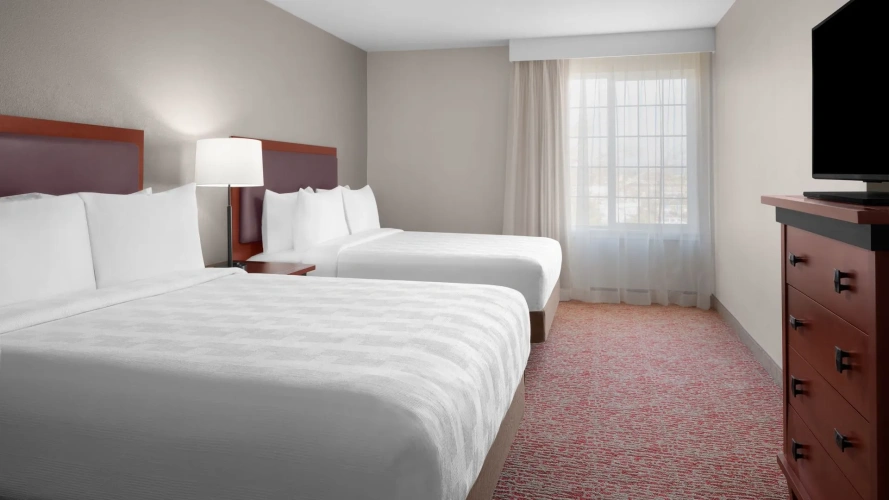 Grand Twin Suite