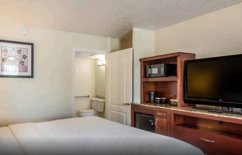 Standard Double room with pool view