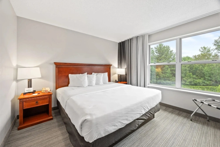 1 Bedroom Double room
