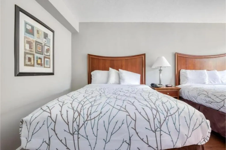 Twin room