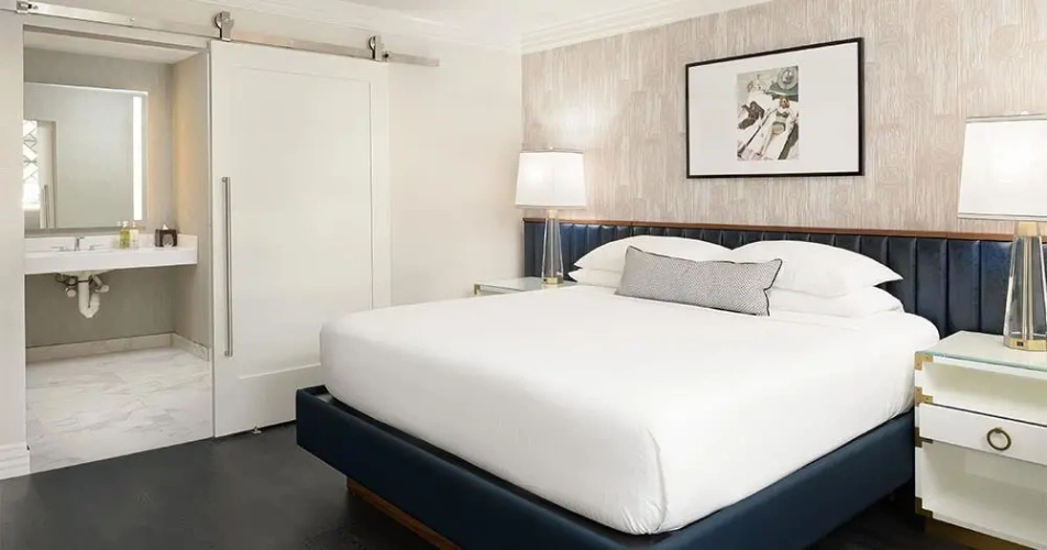 Premier ADA Double Suite