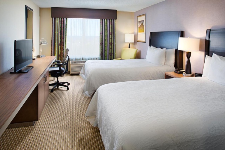 Hilton Garden Inn Hartford North/Bradley Int'l Airport photo 10