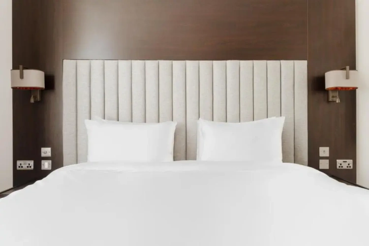 Standard Lower Level Double room