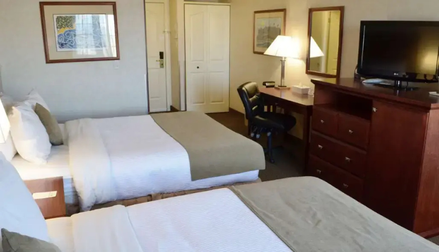 Kitchen Twin Suite