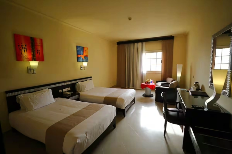 Standard Twin room with pool view
