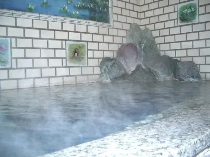 Fujiya Ryokan
