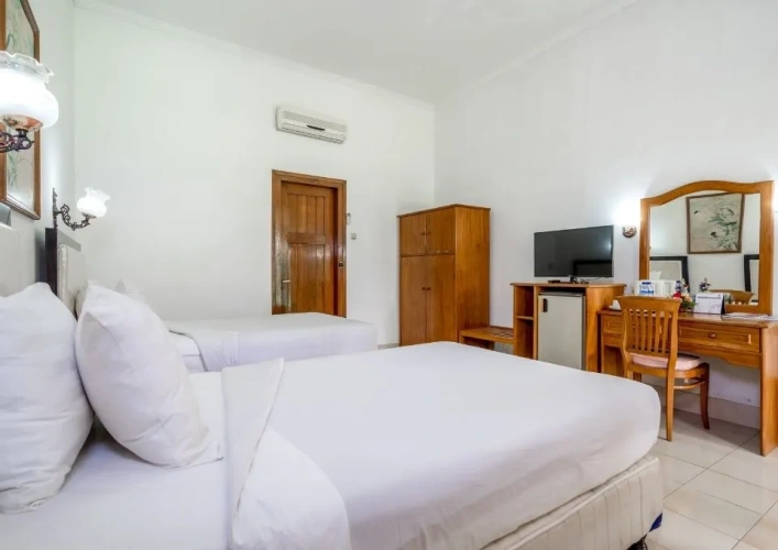 Deluxe Twin room with garden view