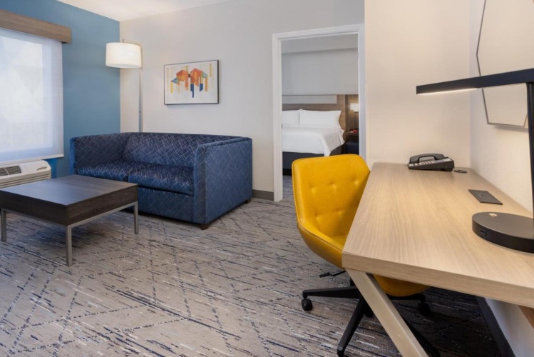 Holiday Inn Express & Suites Tampa-I-75 @ Bruce B.Downs photo 12