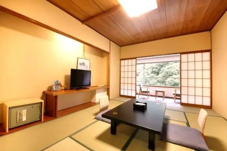 Modern Japanese-Style room